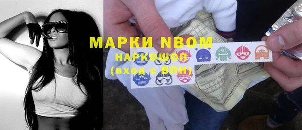 стаф Арсеньев