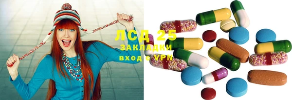 крисы Аркадак