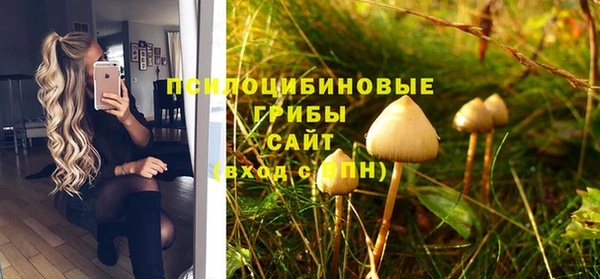 крисы Аркадак