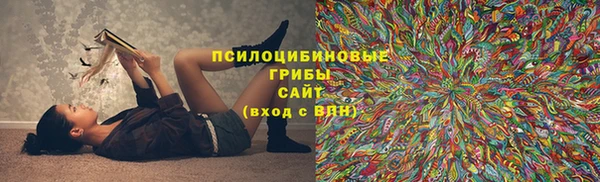 стаф Арсеньев