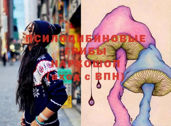 стаф Арсеньев