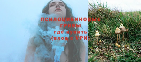 стаф Арсеньев