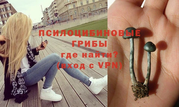стаф Арсеньев