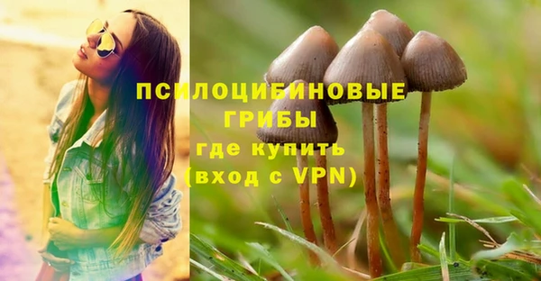 крисы Аркадак