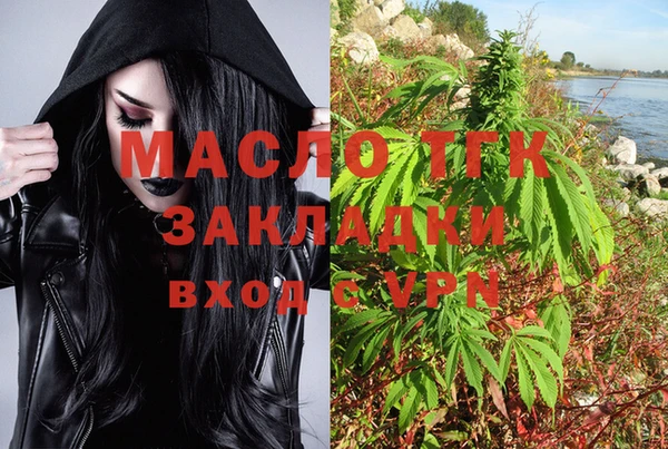 стаф Арсеньев