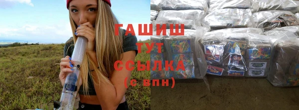 стаф Арсеньев