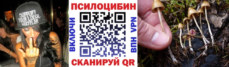Галлюциногенные грибы Psilocybe  Усть-Лабинск 